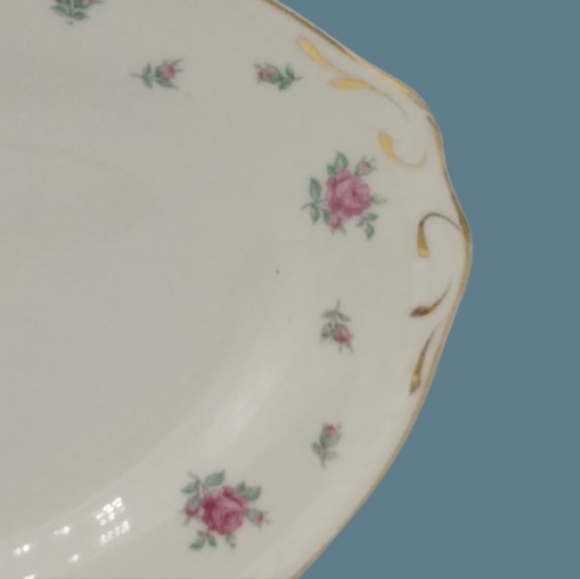 Vintage Homer Laughlin Rambler Rose Oval Tray | 1930s Eggshell Georgian - Picture 4 of 10